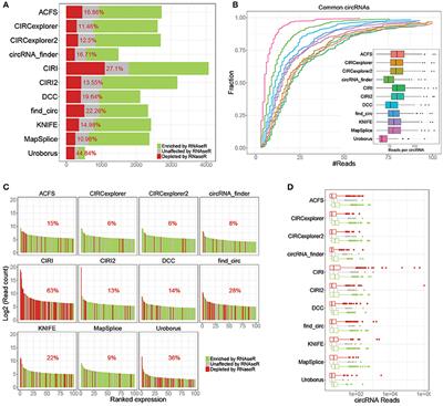 Improved circRNA Identification by Combining Prediction Algorithms